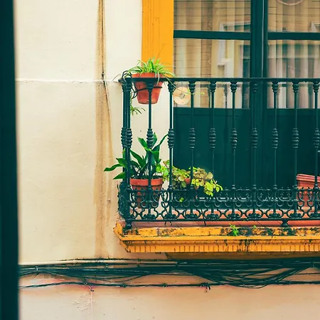 Casa San Roque Севилья